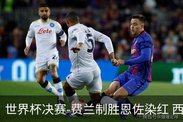 世界杯决赛-费兰制胜恩佐染红 西班牙加时1-0阿根廷夺冠