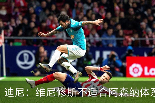 迪尼：维尼修斯不适合阿森纳体系，他的性格也不适合塔帅的风格