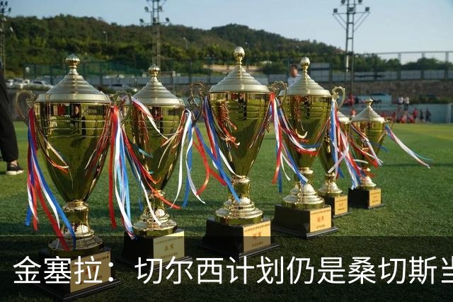 金塞拉：切尔西计划仍是桑切斯当一门，彭德斯是有力竞争者